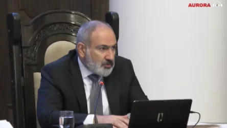 ՏԵՍԱՆՅՈՒԹ․ Մենք ուզում ենք, որ բոլոր բռնի տեղահանվածները մնան Հայաստանում. Փաշինյան