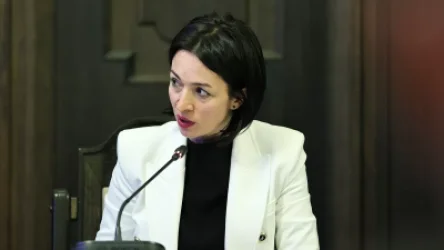 «Բռնի տեղահանված երեխաների համար դասագրքերն անվճար են». Անդրեասյան