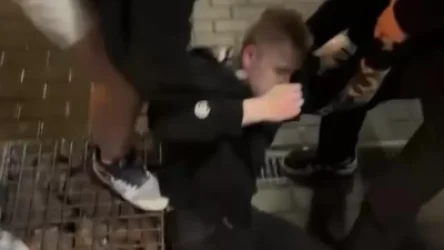 18+ ՏԵՍԱՆՅՈՒԹ. Ադրբեջանցի երիտասարդները քաոս և ծեծկռտուք են կազմակերպում փողոցներում. ՌԴ