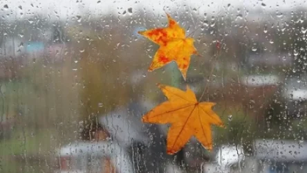 Ջերմաստիճանը կնվազի. եղանակը՝ առաջիկա օրերին