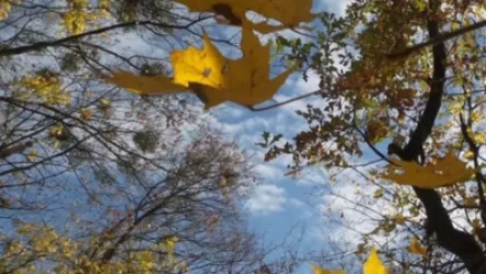 Առաջիկա օրերի եղանակը