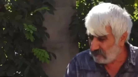 ՏԵՍԱՆՅՈՒԹ. Հայաստանի ժողովրդից գոհ ենք, բայց այստեղ իշխանություն չկա․ արցախցի