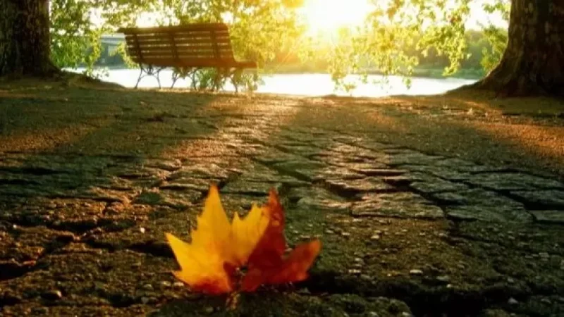 Ինչ եղանակ սպասել առաջիկա օրերին