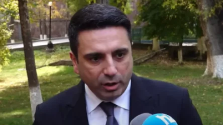 ՏԵՍԱՆՅՈՒԹ․ Ադանան, Ղարսը, Արցախը ձեր հայրենի՞քն է. Ալեն Սիմոնյանը՝ լրագրողին