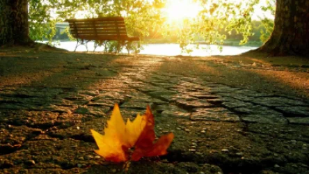 Ինչ եղանակ է սպասվում առաջիկա օրերին