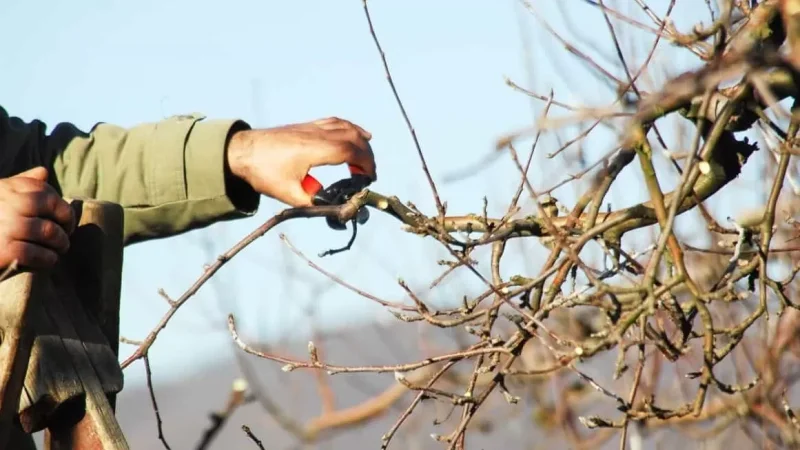 Երևանի որոշ փողոցներ փակ կամ մասնակի փակ կլինեն