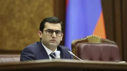 ՏԵՍԱՆՅՈՒԹ․ Ասել, որ ամեն ինչ հրաշալի է և որևէ վտանգ չկա, չեմ կարող․ Արշակյանը՝ սահմանային կուտակումների մասին