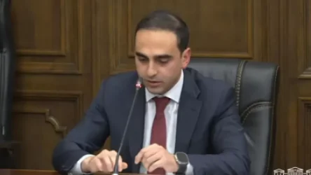 ՏԵՍԱՆՅՈՒԹ. «Եկե՛ք, գնանք «Ծարավ Աղբյուր», տեսե՛ք ինչ վիճակ է». Ավինյան