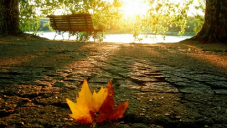 Ինչ եղանակ է սպասվում առաջիկա օրերին