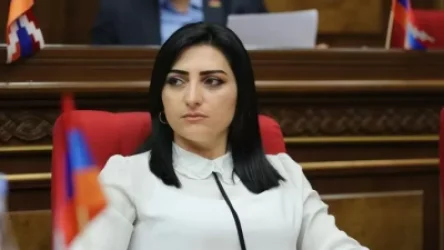 Ինչպես են վերաբերվում արցախցիներին բուհերում․ մտահոգիչ ահազանգ Թովմասյանից