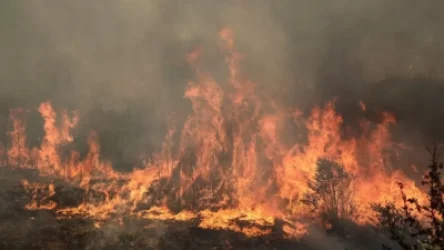 «Դիլիջան ազգային պարկ»–ում 2 օր է հրդեհ է