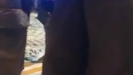 ՏԵՍԱՆՅՈՒԹ. Ահավոր փնթի գործ, փոշի ու կեղտ՝ քաղաքի ամենակենտրոնում. Հակոբ Կարապետյան