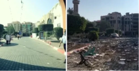 ՏԵՍԱՆՅՈՒԹ․ Գազան՝ պատերազմից առաջ և հետո