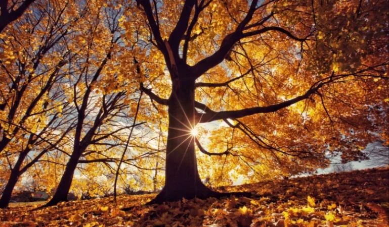 Ինչ եղանակ սպասել առաջիկա օրերին