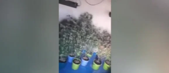 ՏԵՍԱՆՅՈՒԹ․ Երևանում հայտնաբերվել է հերթական քիմիական թմրանյութերի լաբորատորիան