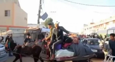 ՏԵՍԱՆՅՈՒԹ. Գազայում հրադադարի հաստատումից հետո  հազարավոր բնակիչներ լքել են ապաստարանները և սկսել վերադառնալ իրենց տները