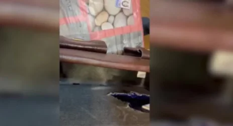 ՏԵՍԱՆՅՈՒԹ․ 10 կգ-ից ավելի «մեթամֆետամին», որի արժեքը գերազանցում է 800 միլիոն դրամը. ՊԵԿ-ի բացահայտումը