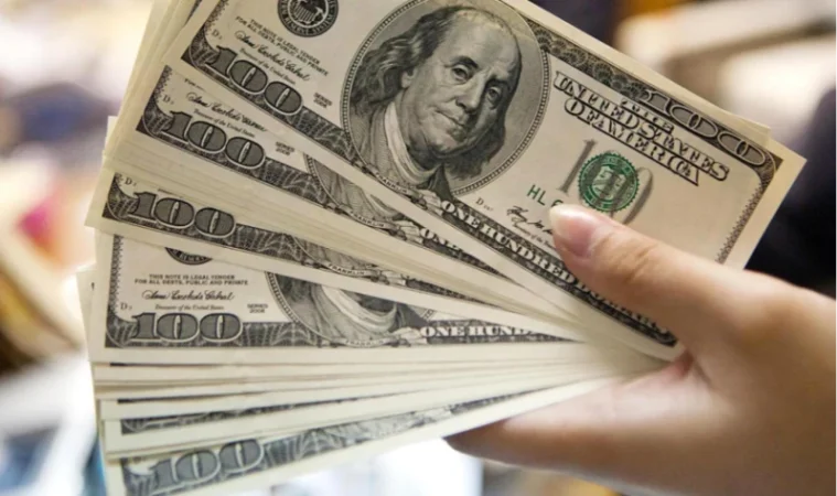 42-ամյա կինը գրքի միջից գողացել էր 84-ամյա համաքաղաքացու 5000 դոլարը