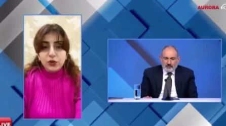 ՏԵՍԱՆՅՈՒԹ. Ես պետք է շատ ուշադիր լինեմ այսօրինակ հարցերին արձագանքելիս. Փաշինյանը պատասխանում է արցախցու հարցին