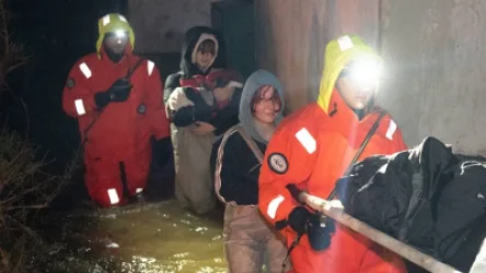 Սևաստոպոլի թանգարան-ակվարիումում 500 ծովային կենդանիներ սատկել են