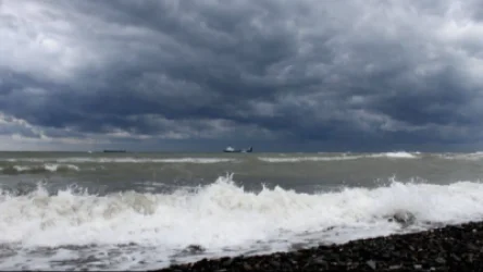 ՏԵՍԱՆՅՈՒԹ. Թուրքիայում Սև ծովը դուրս է եկել ափերից