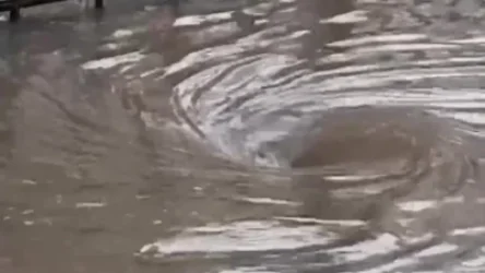 ՏԵՍԱՆՅՈՒԹ․ Ղրիմում ուժգին փոթորիկ է․ կան զոհեր և տուժածներ