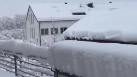 ՏԵՍԱՆՅՈՒԹ. Գերմանիայում շատ կարճ ժամանակահատվածում 40-46 սմ ձյուն է տեղացել