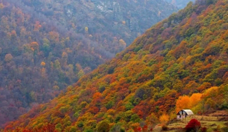 Այսօր Իջևանում և Կապանում +25 աստիճան է. Գագիկ Սուրենյան