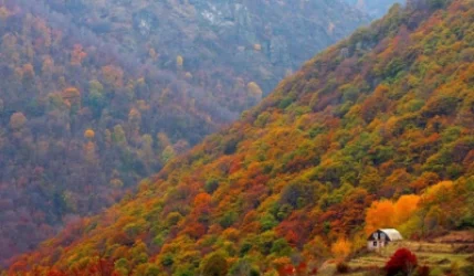 Այսօր Իջևանում և Կապանում +25 աստիճան է. Գագիկ Սուրենյան