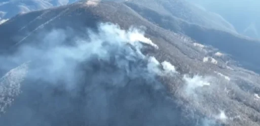 ՏԵՍԱՆՅՈՒԹ. «Դիլիջան» ազգային պարկում բռնկված հրդեհը դեռ չի մարվել