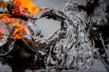 Նավթի համաշխարհային գները արագացրել են անկումը