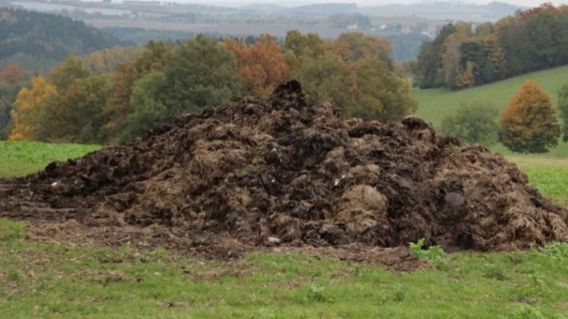 Գոմաղբն ու թռչնաղբն այսուհետ չի կարելի կուտակել բնակավայրերի մոտ