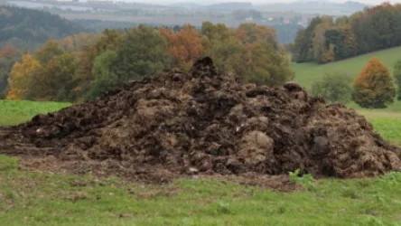 Գոմաղբն ու թռչնաղբն այսուհետ չի կարելի կուտակել բնակավայրերի մոտ