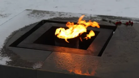 ՏԵՍԱՆՅՈՒԹ. Սանկտ Պետերբուրգում երեխաները հանգցրել են «Անմար կրակ»-ը