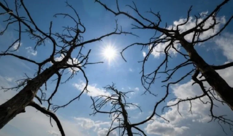 Սպասվում է առանց տեղումների եղանակ