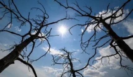 Սպասվում է առանց տեղումների եղանակ