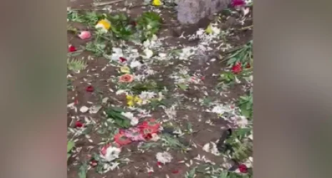 ԼՈՒՍԱՆԿԱՐՆԵՐ․ Թաղման հաջորդ օրը գերեզմանը  թալանված են հայտնաբերել․ գողացել են ծաղիկներն ու ծաղկեպսակները