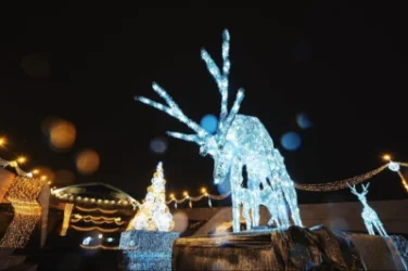 ՀՈՐԴՈՐ. Արգելեք երեխաներին «հեծնել» ամանորյա դեկորները, դրանք աշխատում են 220V լարմամբ