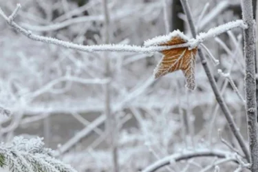 Առաջիկա օրերի եղանակը
