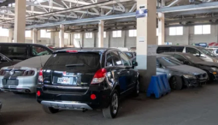 Էկոնոմիկայի նախարարը՝ վրացական պետհամարանիշներով մեքենաների մաքսազերծման մասին