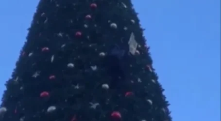 ՏԵՍԱՆՅՈՒԹ․ Պաղեստինամետ ակտիվիստը բարձրացել է Սուրբ Ծննդյան տոնածառի վրա․ ԱՄՆ