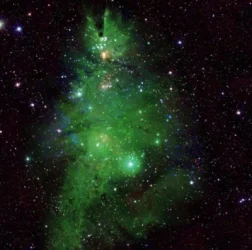 Սուրբ Ծնունդը նշվում է նույնիսկ տիեզերքում. ՆԱՍԱ-ն  «տոնածառի» լուսանկար է հրապարակել