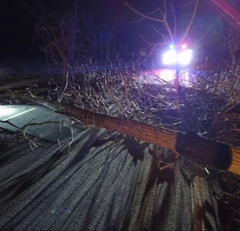 Ճանապարհը փակ էր ոչ միայն ձյան՝ այլև ծառերի պատճառով