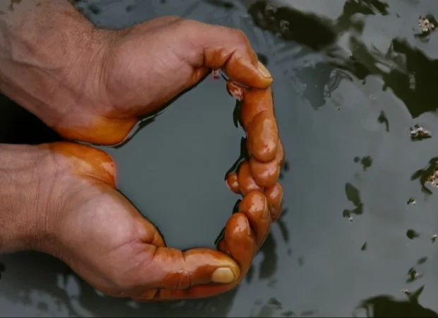 Նավթի գինն անկումից հետո աճում է