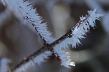 Արտասովոր մթնոլորտային երևույթ` Մոսկվայի երկնքում