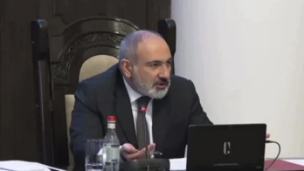 ՏԵՍԱՆՅՈՒԹ. Զուգարանի պատին թափանցիկ պատուհան մի' դրեք, հինգ ամիս ա էդ եմ ասում. Փաշինյան