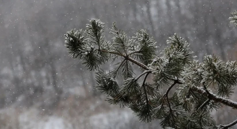 Քամու ուժգնացում, մառախուղ, տեղումներ. եղանակը` Հայաստանում