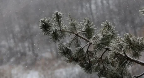 Քամու ուժգնացում, մառախուղ, տեղումներ. եղանակը` Հայաստանում