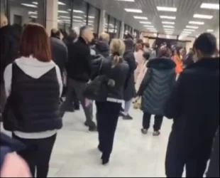 Ինչպես են մաքսավորները լուծել հայ–վրացական սահմանին տիրող իրարանցումը