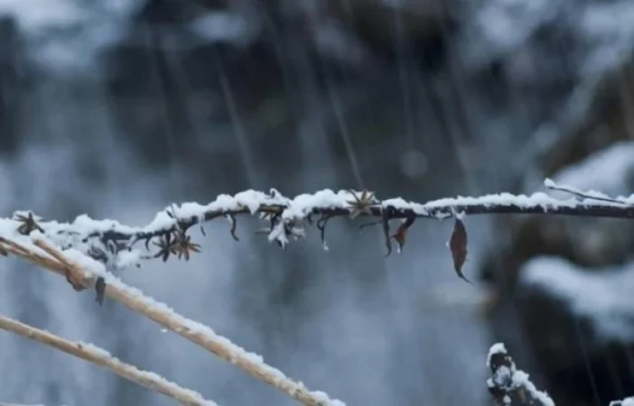 Ձյուն, անձրև, մառախուղ․ առաջիկա 5 օրվա եղանակը
